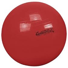 LDR GYM-BALL CM. 75